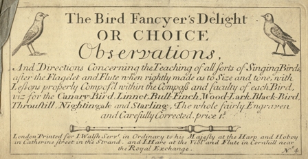 Bird Fancyer's Delight